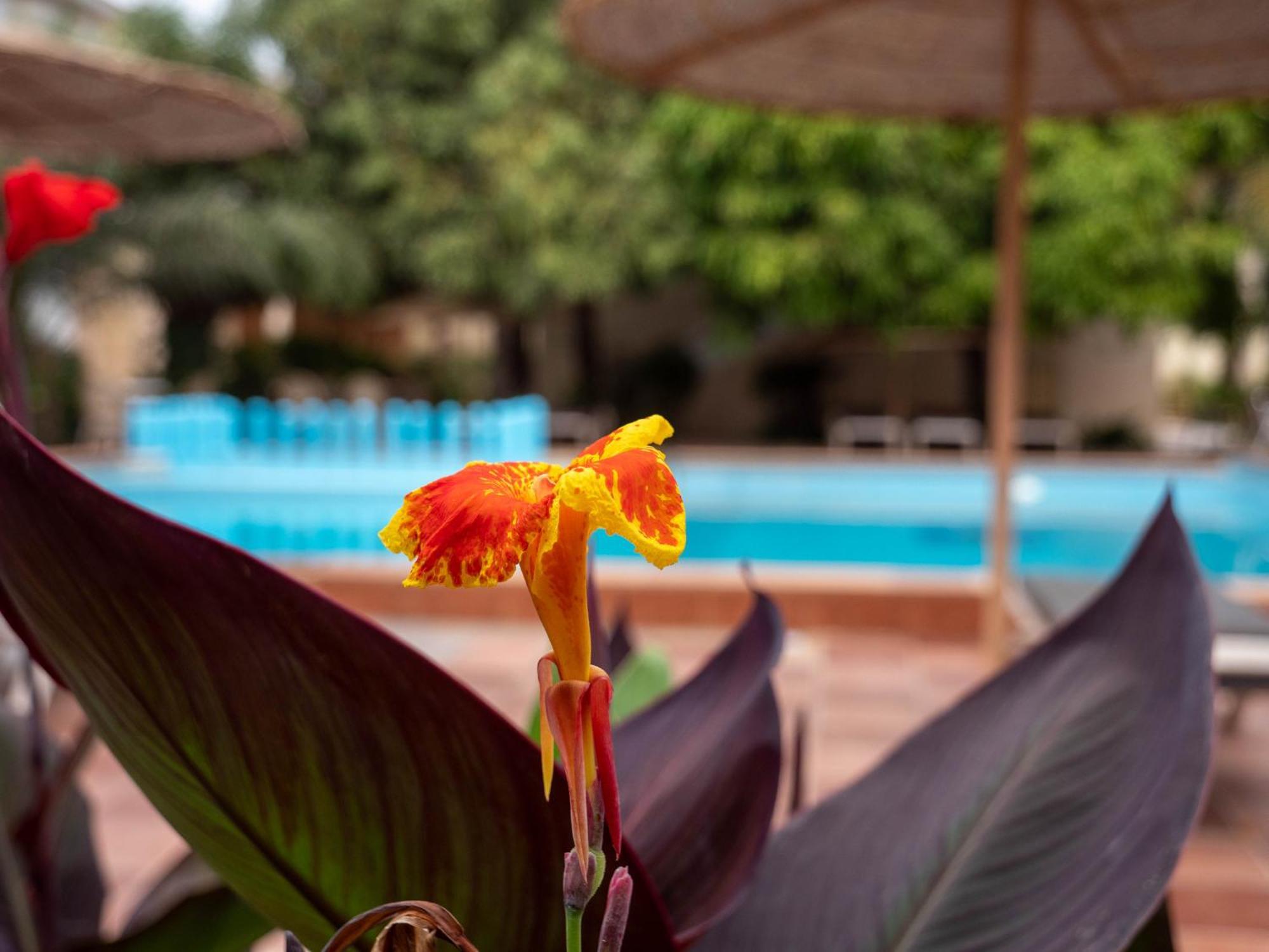 Cape Point Hotel Bakau Exterior foto